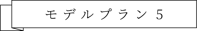 モデルプラン5