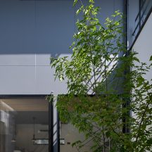 デッキ/庭のデザイン|中庭・ウッドデッキ(植栽)施工事例|年間11棟限定。岡山・倉敷で工務店が“作品”として叶えるおしゃれな注文住宅|岡山・倉敷でおしゃれな注文住宅を手がける工務店【意匠堂】