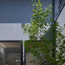 中庭・ウッドデッキ(植栽)施工事例