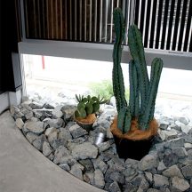 工務店、オシャレ住宅、デザイン建築、注文住宅、岡山工務店、意匠堂、新築、店舗設計、完成見学会、工務店、デザイナーズ住宅、岡山一級建築士事務所 デッキ/庭のデザイン|ガーデン|年間11棟限定。岡山・倉敷で工務店が“作品”として叶えるおしゃれな注文住宅|岡山・倉敷でおしゃれな注文住宅を手がける工務店【意匠堂】