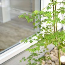 デッキ/庭のデザイン|ガーデン|年間11棟限定。岡山・倉敷で工務店が“作品”として叶えるおしゃれな注文住宅|岡山・倉敷でおしゃれな注文住宅を手がける工務店【意匠堂】